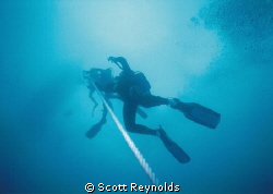This photo of divers ascending the anchor line was taken ... by Scott Reynolds 